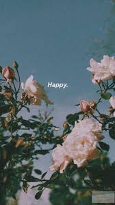 Popular Pins Wallpaper Tumblr Lockscreen Iphone Wallpaper Tumblr Aesthetic Photography Wallpaper