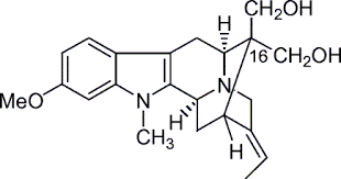 Image result for Voacanga chalotiana
