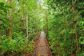 Read on to find out more about these fun facts about malaysia that make up for the country's history and pride that has shaped it into the wonderful place we know of today. 70 Interesting And Fun Malaysia Facts Fact Retriever