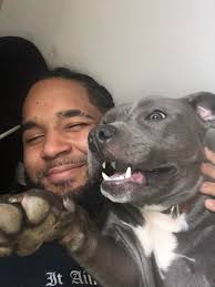 Lost black dog with injured leg in Wilkes-Barre