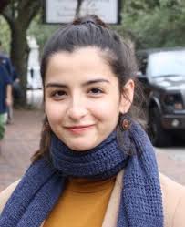 2017-2018 ICD Fellows