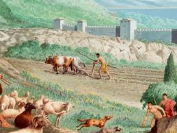 The People Who Did The Most Agriculture Work Were People In The Middle Class Social Class Also Known As The Perioeci These Peop Ancient Greek Ancient Greece