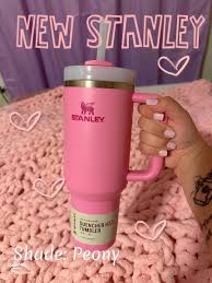 Fresh Peony Inspiration: Celebrate Pink with Stanley Cups