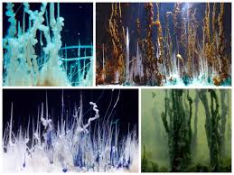 Maybe you would like to learn more about one of these? Sciencealert On Twitter The Chemical Garden Experiment Sees Solid Metal Salts React To A Solution Called Waterglass Http T Co Hs5r989xwa Http T Co Edslsxnnez Twitter