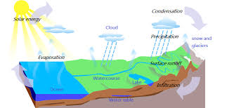 Water Cycle En Png 800 379 Water Cycle Earth System Science Water Table