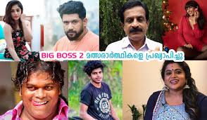 Bigg boss malayalam vote is conducted by asianet channel for the reality show bigg boss malayalam hosted by mohan lal and voting has already started. Bigg Boss Malayalam Season 2 Contestants Mix India