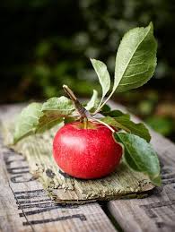 Pinterest Coffeequeen4 Thank You Xoxo Fruit Fruit Photography Apple