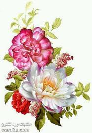 تصميمات ورد منوعة للديكوباج flower art floral painting flower painting