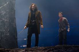 Sirius automation strives to build the best products to help our customers achieve higher goals. 6 Times Sirius Was One Of The Bravest Harry Potter Characters Wizarding World
