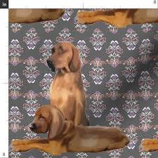 Maybe you would like to learn more about one of these? Dogs Redbone Coonhound Coon Hound Brocade Grey Fabric Printed By Spoonflower Bty Walmart Com Walmart Com