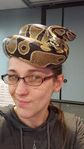 Sadly Dorian doesn't have a hat...yet. I just wanted to give Boa's some  love. This is my rescue hog Island dwarf boa and he is absolutely amazing.  I've had many snakes over