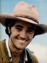 Resultado de imagem para robert walker jr