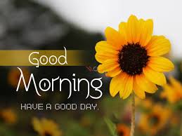 Top 2020 Good Morning Messages And Quotes Images In English Best good evening hd images download for whatsapp dp. top 2020 good morning messages and