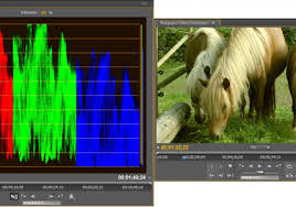 Adobe premiere pro cc digital classroom jerron smith. Straightforward Primary Color Correction In Premiere Pro By Jeff Sengstack Provideo Coalition