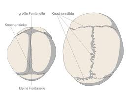 Fontanelle Beim Baby Neugeborenen Was Sie Wissen Mussen