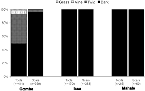 Image result for Grewia rugosifolia