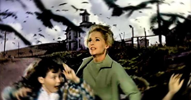 The Birds, the Drones