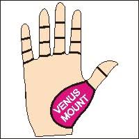 Sharing a home with a woman makes you feel wanted and secure. Venus In Your Partner S Chart Love Secrets Astrology