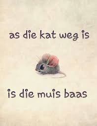 Afrikaanse Idiome Uitdrukkings As Die Kat Weg Is Is Muis Baas Afrikaans Afrikaans Afrikaans Quotes Afrikaans Language