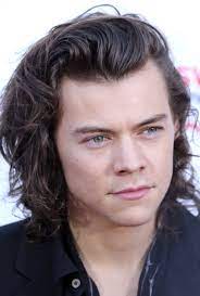 Harry styles proves he's the perfect ariel by channeling his inner mermaid in unseen photos. Harry Styles Wikipedia