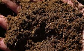 saksı toprağı nasıl hazırlanır ile ilgili görsel sonucu