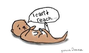 A selection of free animation software for beginners and not only! Animals Cartoon And Digital Image 327815 On Favim Com