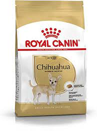 Para asegurar que su alimentación es la adecuada, es fundamental que escojas una comida para perros chihuahua que . Como Cuidar Un Perro Chihuahua Banos Alimentacion Paseos Enfermedades Juguetes Redcanina Es