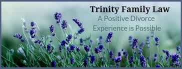 Examples include advising in divorce proceedings, counseling in custody disputes, or resolving distribution of assets. Trinity Family Law Reviews Facebook