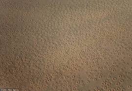 Fairy circles is a perfect book for biology and geography studies, containing lots of information on namibia, and on the curious life in the dessert. Namibia S Fairy Circles Images Reveal Astonishing Extent Of Baffling Grass Rings Daily Mail Online
