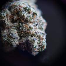 Til næste år bliver der endnu mere at udforske på turen, når ruten bliver opgraderet med hele syv nye verdensberømte bygninger. Og Cookies Monster Og Cookie Monster 305 Album On Imgur