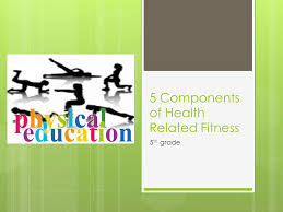 Total fitness can be defined by how well the body performs in . 5 Components Of Health Related Fitness 5 Th Grade Ppt Download