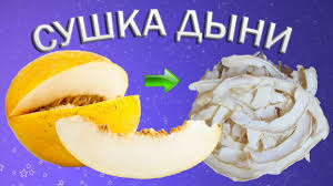 что можно сушить в сушилке для фруктов и овощей Sushenaya Dynya V Sushilke Dlya Fruktov Sushilka Frukty Pishevye Podelki
