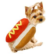 Hot Dog Pet Dog Halloween Costume Clothes Mustard Cat