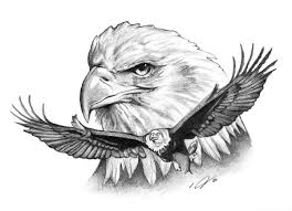 75+ lukisan burung elang hitam putih, gambar lukisan. Koleksi Gambar Burung Indah Aneka Warna Worldofghibli Id