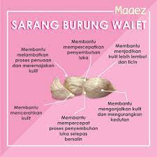Dengan kandungannya tersebut, tidak heran jika sarang burung walet memberikan kebaikan bagi tubuh. Susu Maaez Hari Ni Sis Nak Kongsi Apa Khasiat Sarang Facebook