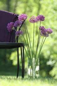 We did not find results for: Long Lasting Cut Flowers Hgtv