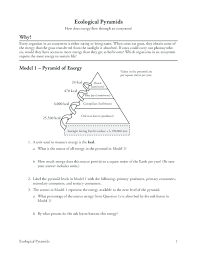 Refer to the graph in model 1.a. Pdf Ecological Pyramids Ding Dong Academia Edu