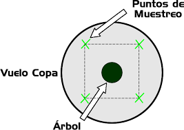 Resultado de imagen de MUESTRA NEMATODOS
