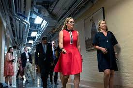 Bisexual democratic senator kirsten sinema brought a giant chocolate john mccain represents a time long gone, where senators were closer politically and each was their. Bamvhmretmwavm