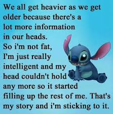 Pin By Christina Canterbury On Funnies Lilo And Stitch Quotes Funny Quotes Fun Quotes Funny