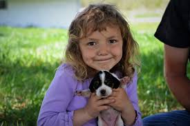 Get even more great ideas about 63+. Riverbottom Beagles Welcome To River Bottom Beagles We Hope You Enjoy Our Site