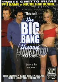 This Isnt The Big Bang Theory XXX - DVD - White Ghetto Films