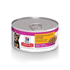How often should chihuahuas eat a day? 6 Best Foods For Chihuahua Puppies In 2021 Dogstruggles