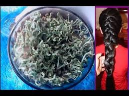 شعرك سينمو بجنون ونظرك سيصبح قويا كنظر النسروبطنك بظهرك فقط بهذا المكون المعجزة youtube how to dry basil health skin care