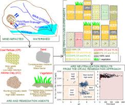 Image result for Stereochlaena cameronii