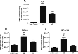 Check spelling or type a new query. Association Of Mmp7 181a G Promoter Polymorphism With Gastric Cancer Risk Influence Of Nicotine In Differential Allele Specific Transcription Via Increased Phosphorylation Of Camp Response Element Binding Protein Creb Sciencedirect