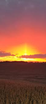 Profile for Bailey Farms