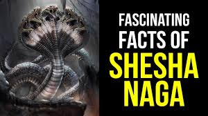 Naga is one of the largest and most important cities in the bicol region, being its center of almost everything. Fascinating Facts Of Shesha Naga Nagaraja Of Serpents Lord Vishnu S Loyal Devotee Artha Youtube