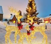 3-Piece Reindeer Christmas Decorations Outdoor Indoor, Lighted LED  Christmas Deer Family Set with 60 LEDs, Pre-lit Buck, Doe and Fawn for Home  Yard ...