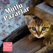 Mutlu Pazarlar Mutlupazarlar Mutlupazar Pazarkahvaltisi Gunaydin Mutlu Galeri Pazar